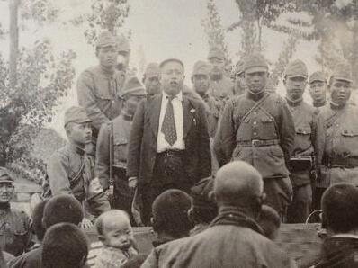 餐厅当众宰杀野猫，道德与法律的灰色地带