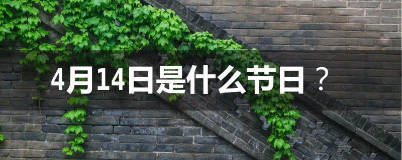 4.4是什么节日？这个数字背后藏着好几个不一样的节日